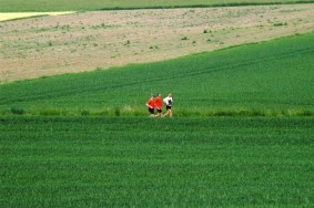 Landkreislauf Schwandorf 2014 Etappe 2