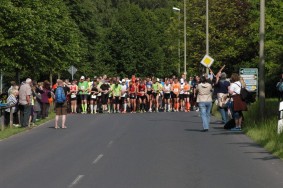 Halbmarathon Marktredwitz 2014