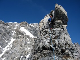 Ortler Hintergrat 2014