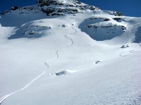 Piz Buin Silvretta