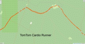 TomTom Cardio Runner