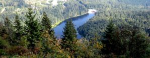 Auerhahntrail statt Arberland Ultra Trail