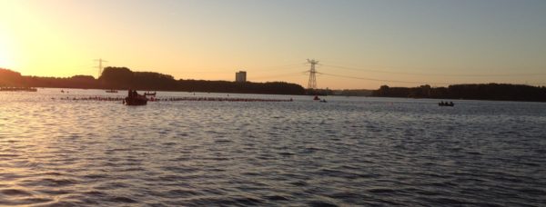 Challenge Almere Schwimmstart