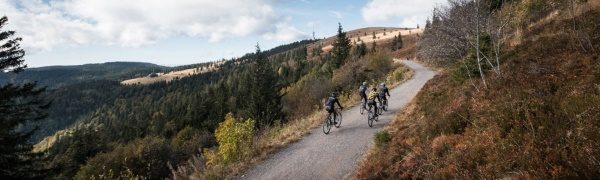 VOTEC Gravelfondo 2017