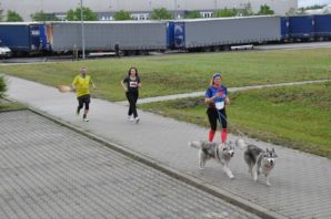 FIFALA - Firmen- und Familienlauf Schwandorf 2017