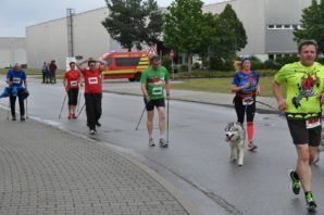FIFALA - Firmen- und Familienlauf Schwandorf 2017