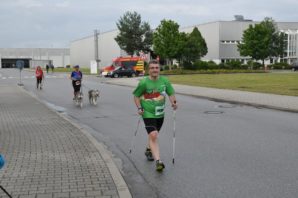 FIFALA - Firmen- und Familienlauf Schwandorf 2017