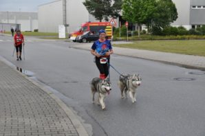 FIFALA - Firmen- und Familienlauf Schwandorf 2017