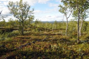 Jämtland Outdoor Experience (JOE) 