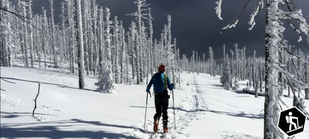 Bericht: Skitour Großer Rachel