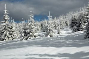 Skitour Großer Rachel