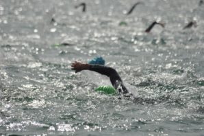 Seenland Triathlon Steinberger See 2018