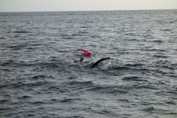 Freiwasserschwimmen in Porec
