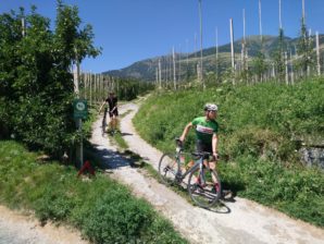 Rad Race Tour de friends 2019 - Augsburg nach Feltre