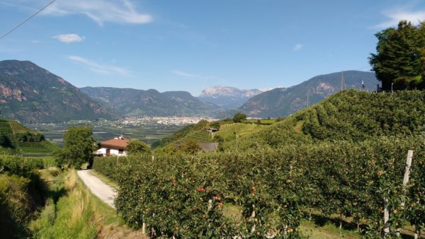 Rad Race Tour de friends 2019 - Augsburg nach Feltre