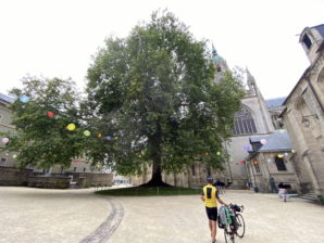 Bikepacking Frankreich - Loire, Bretagne, Normandie