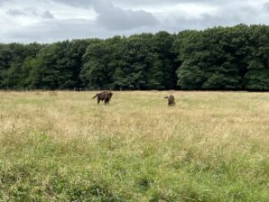 Reisebericht Bornholm