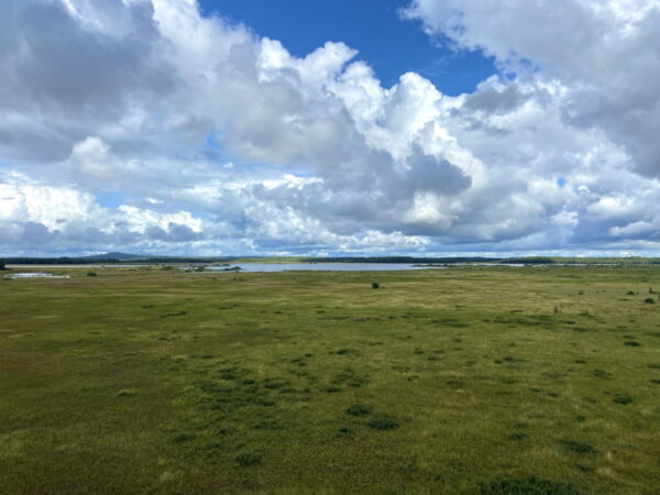 Store Mosse Nationalpark