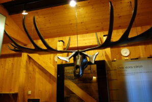 Store Mosse Nationalpark