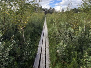 Store Mosse Nationalpark