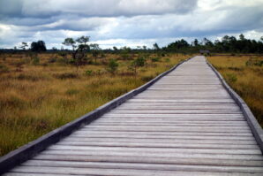 Store Mosse Nationalpark