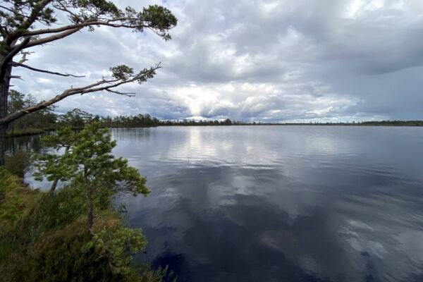 Store Mosse Nationalpark